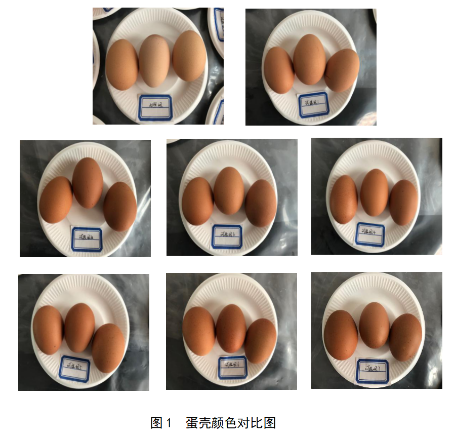 bifa·必发(中国)唯一官方网站