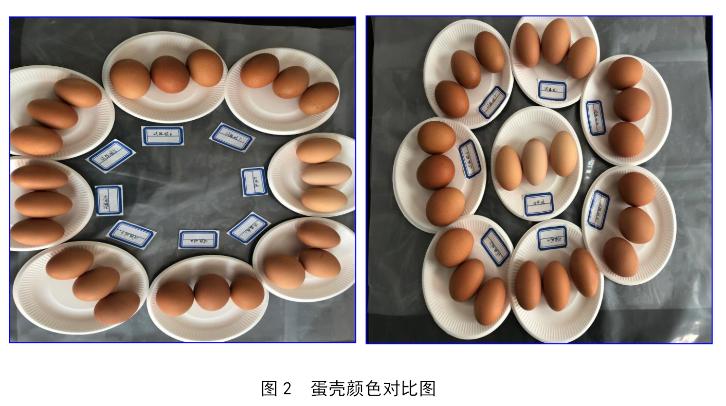 bifa·必发(中国)唯一官方网站
