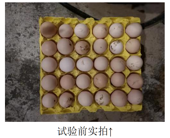 bifa·必发(中国)唯一官方网站