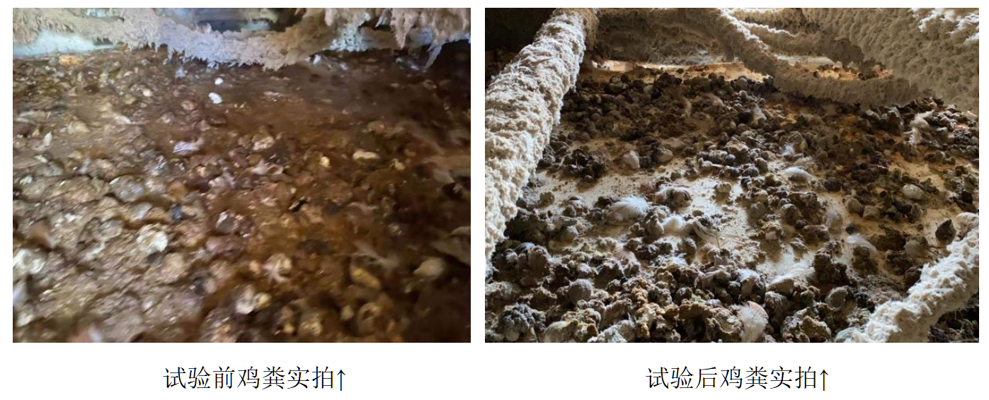 bifa·必发(中国)唯一官方网站